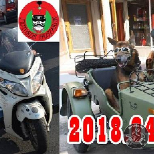 Motorosok a kutyusokért! Jótékonysági gurulás, Tiszafüred!